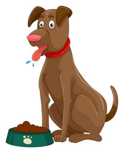 Bruine hond met gedroogd voedsel in kom vector