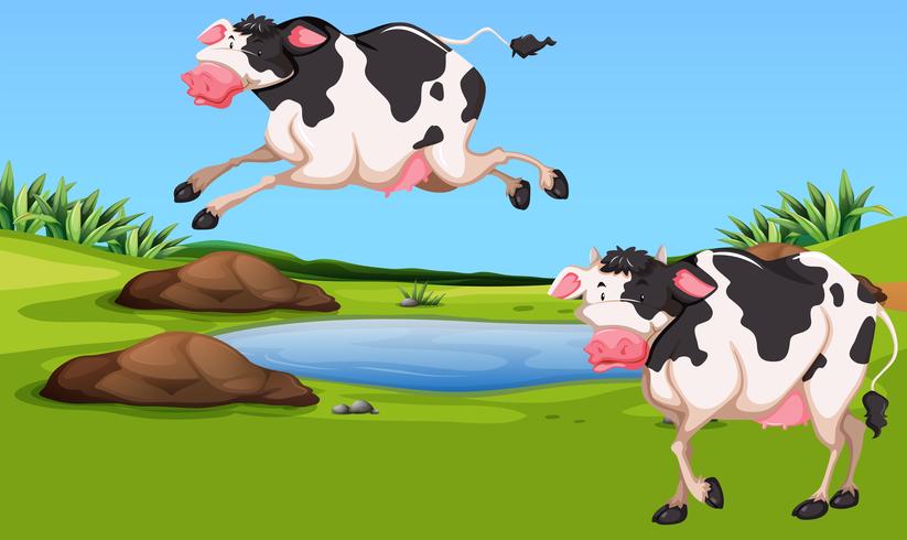Twee koeien op de boerderij vector