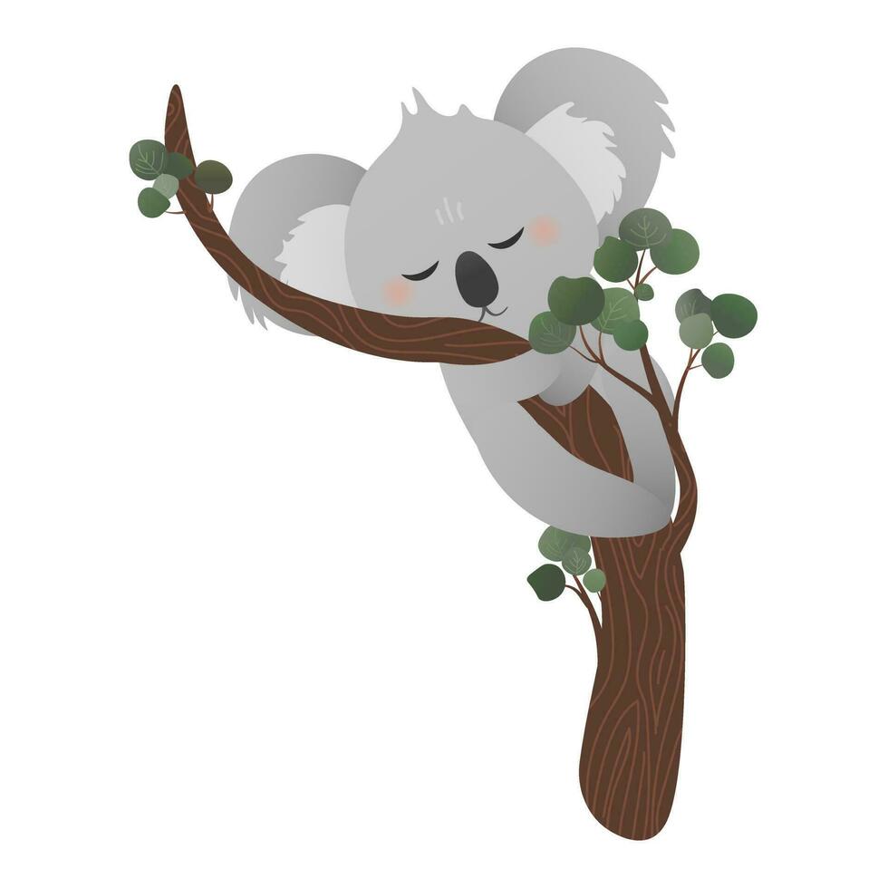 schattig koala beer slapen Aan eucalyptus boom terwijl knuffelen boom, sticker voor kinderen, kinderachtig dier karakter vector