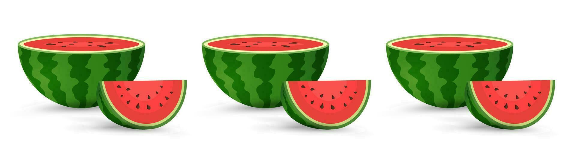 watermeloenen biologisch fruit in voor de helft snee, plakjes en driehoek. rood watermeloen stuk vector, illustratie vector