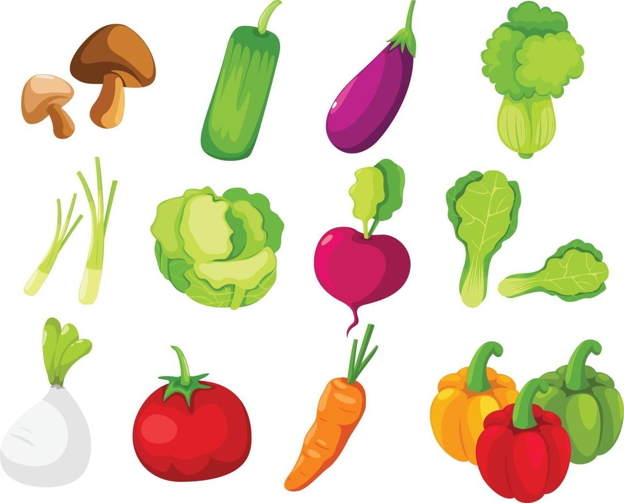 collectie groenten instellen afbeelding vector