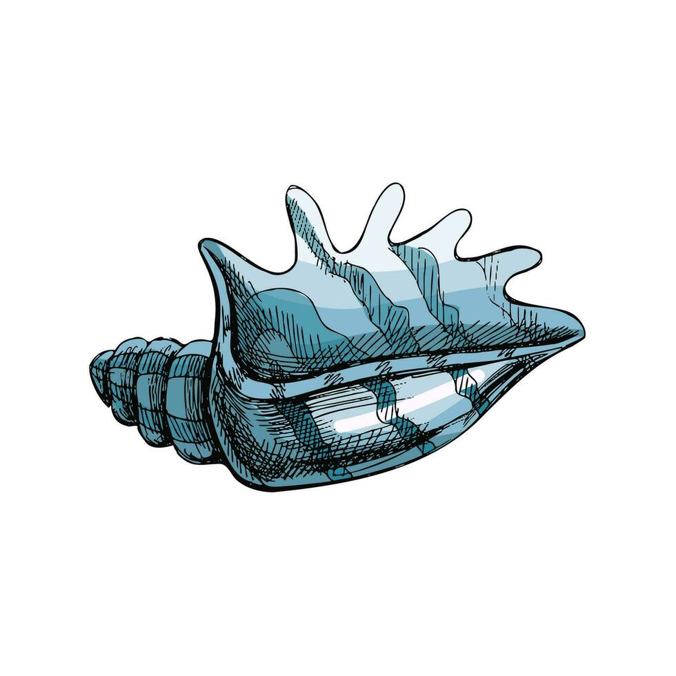 hand- getrokken gekleurde schetsen van zeeschelp, mossel, schelp. schulp zee schelp, schetsen stijl vector illustratie geïsoleerd Aan wit achtergrond.