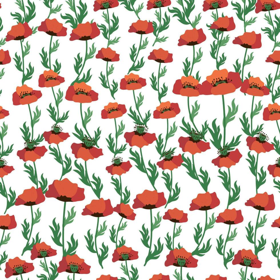 zomer naadloos patroon met helder rood papaver bloemen en papaver peulen. veld, weide van klaprozen vector