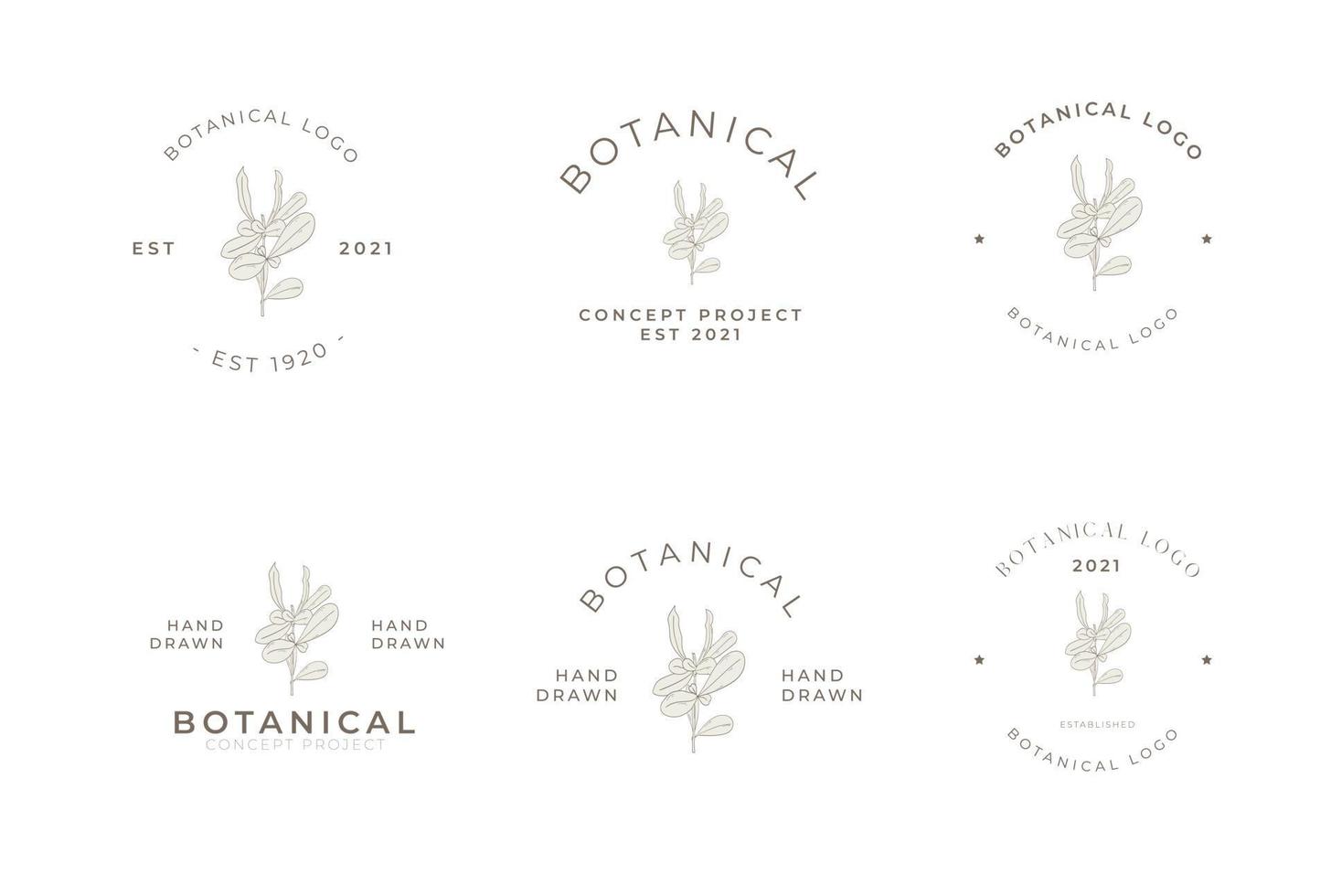 retro vintage stijl botanisch bloemen minimaal logo pack vector