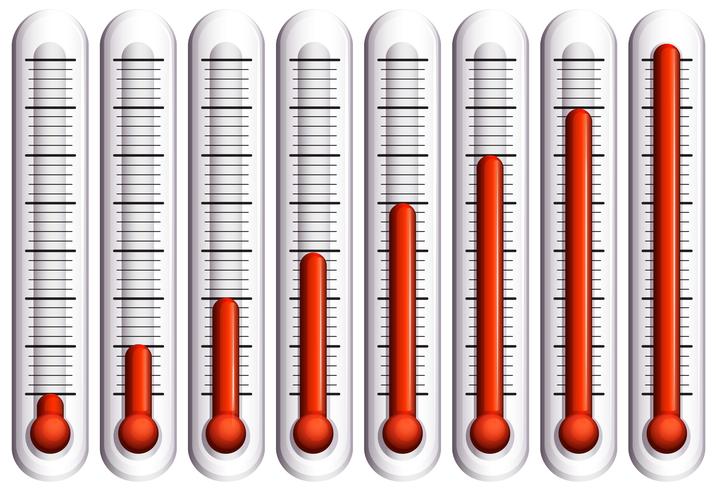 Set van thermometers op wit vector