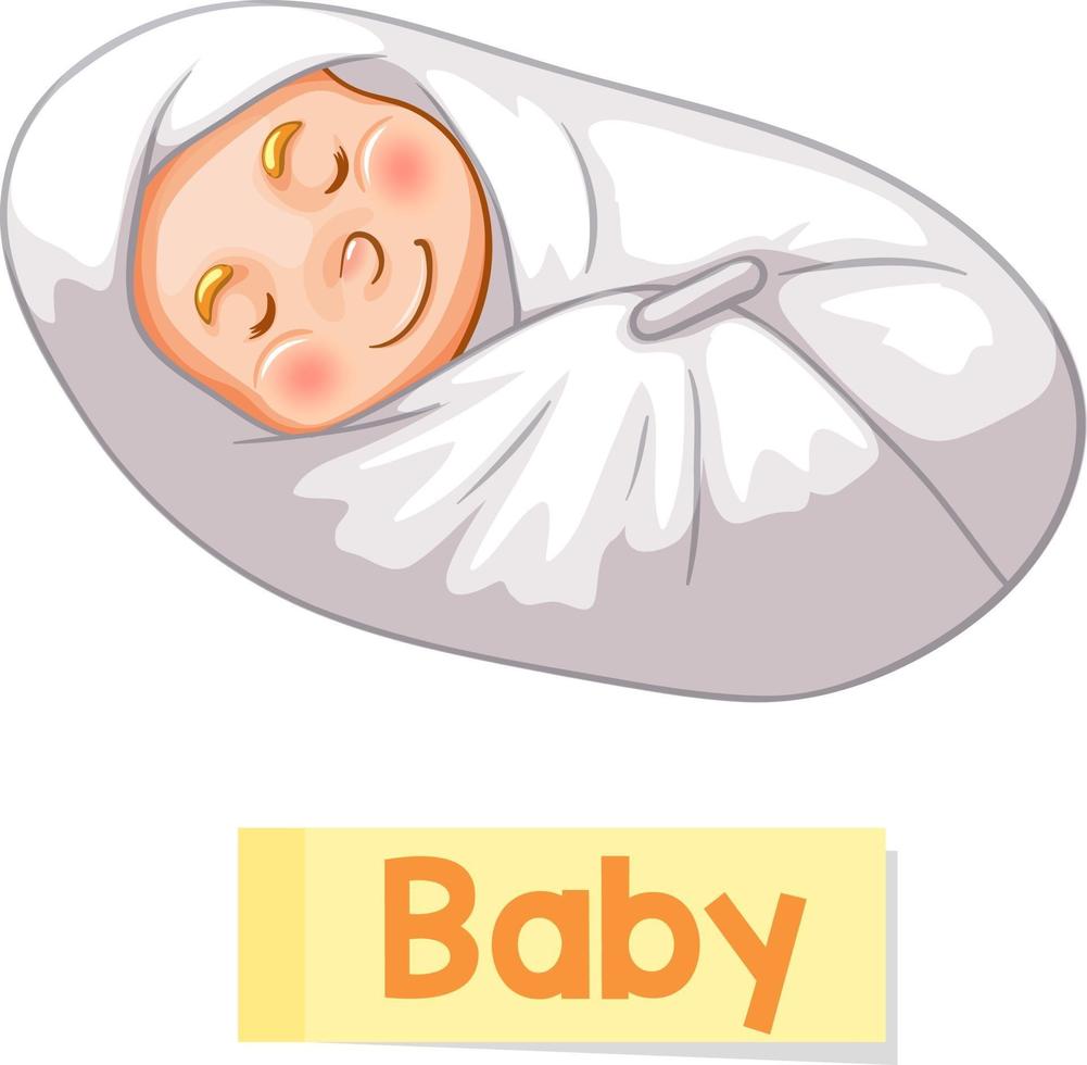 educatieve engelse woordkaart van baby vector