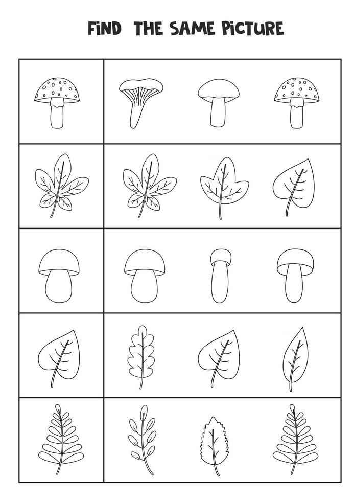 vind twee dezelfde bladeren en paddenstoelen. zwart-wit werkblad. vector