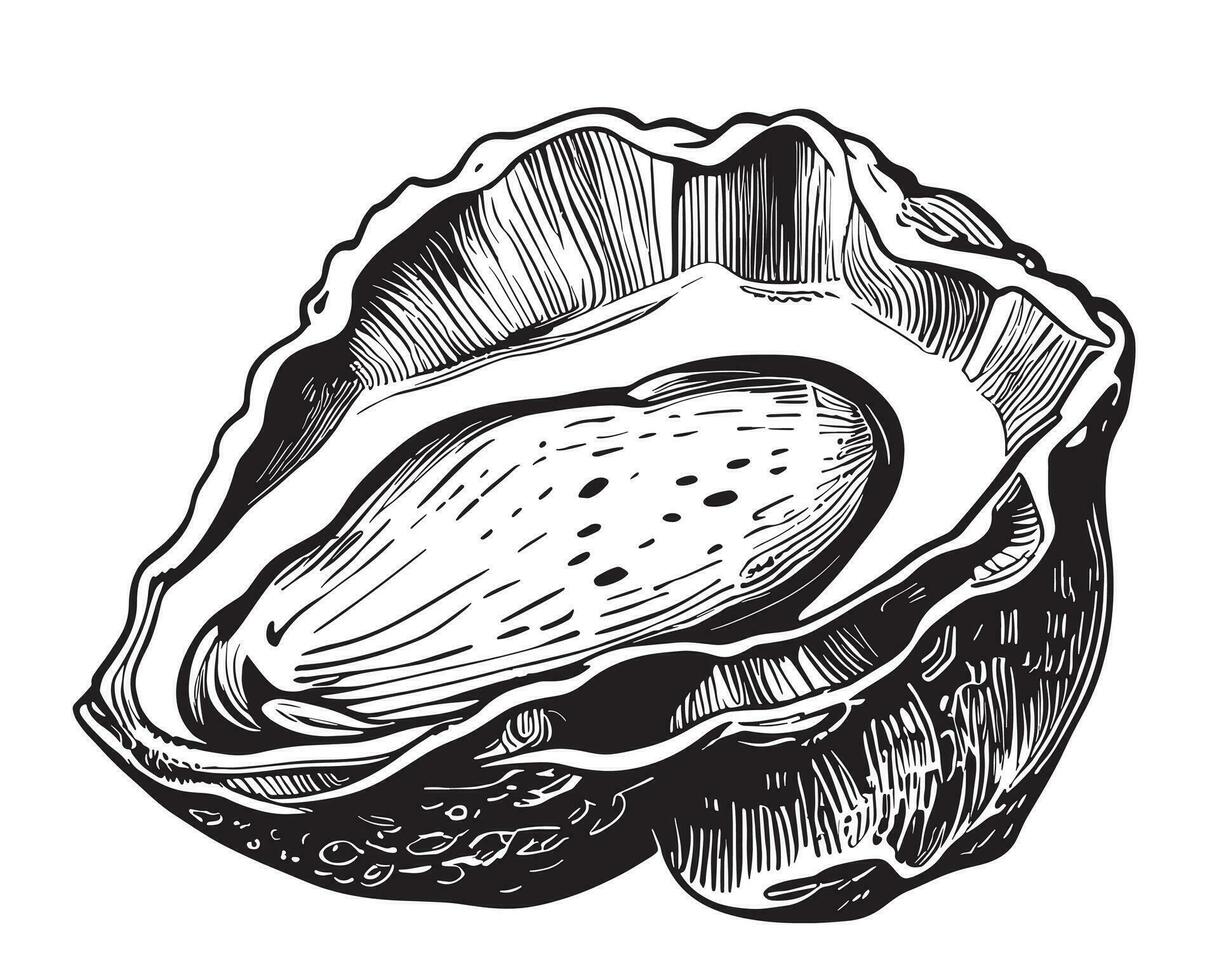 oester schetsen hand- getrokken in tekening stijl zee voedsel vector illustratie