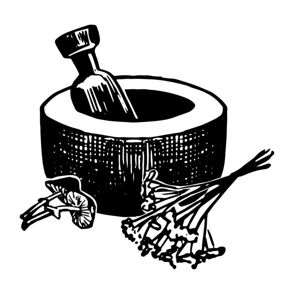 steen Mortier en stamper met kruiden, champignons. hekserij keuken gereedschap inkt schetsen geïsoleerd Aan wit. hand- getrokken vector illustratie in retro stijl.