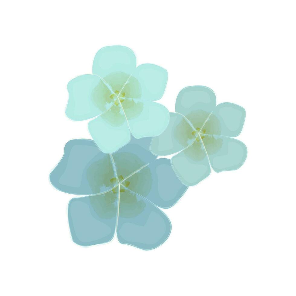 drie blauw bloemen. voorjaar vector bloemen, illustratie