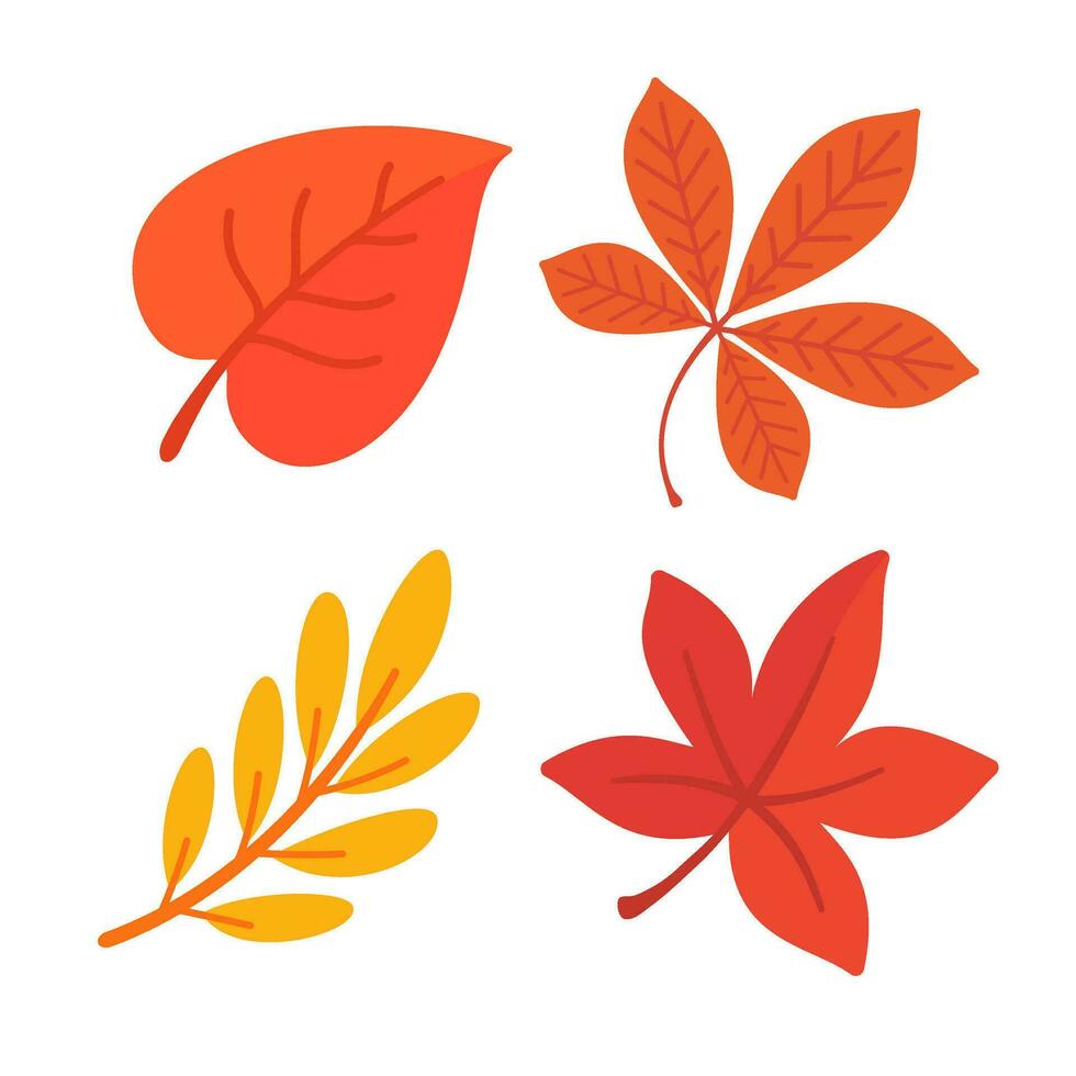 mooi blad samenstelling. bladeren verandering kleur in herfst vector