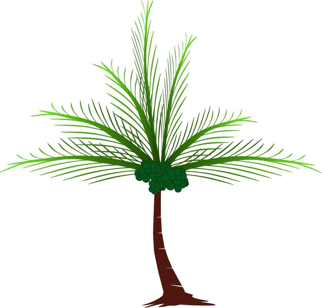 de illustraties en clip art, palm bomen vector