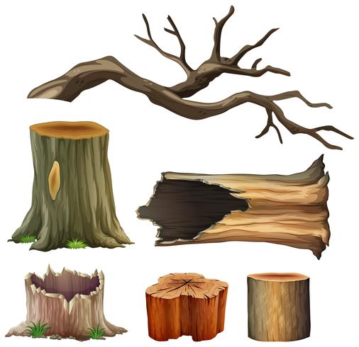 Set van boom hout vector