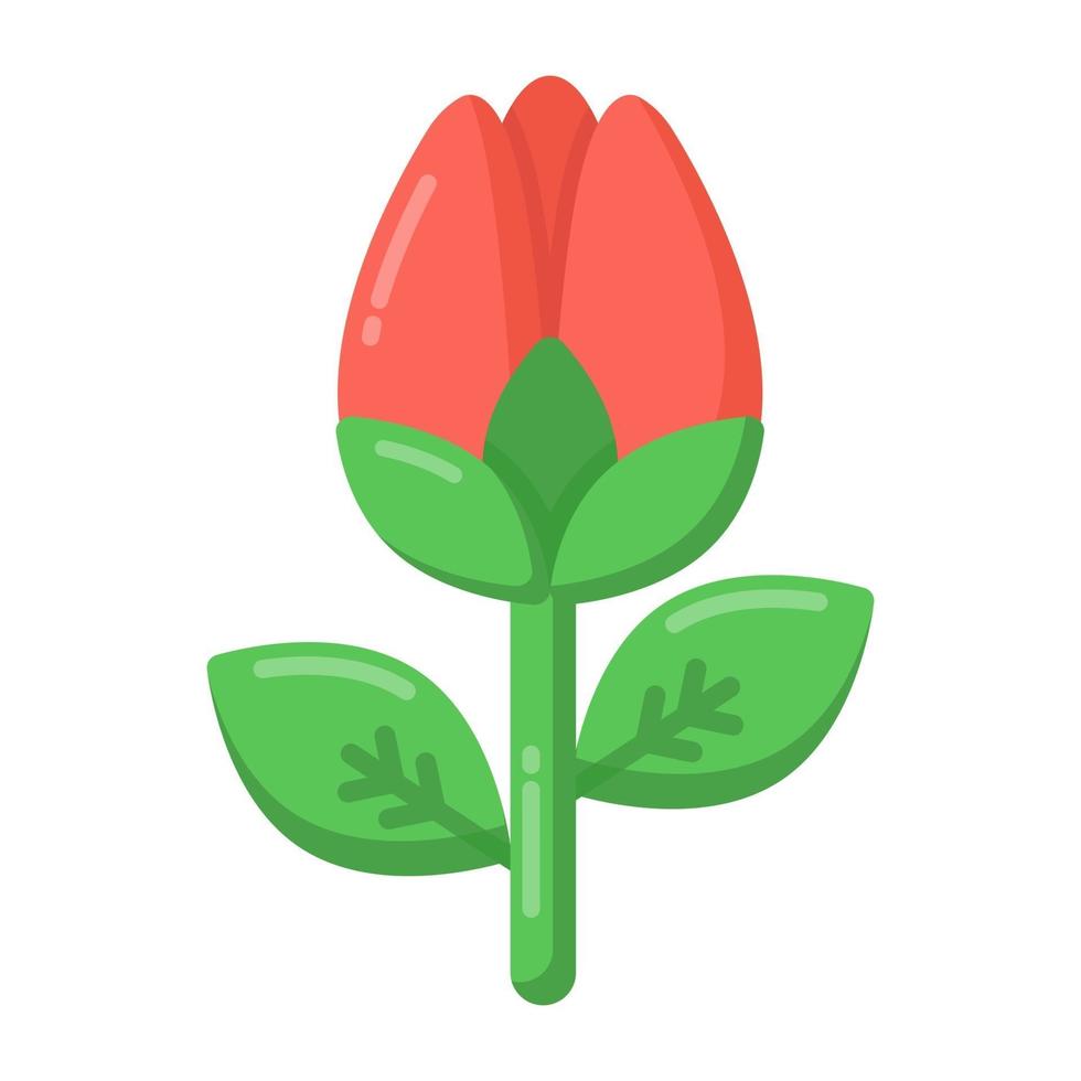 tulp en bloem vector