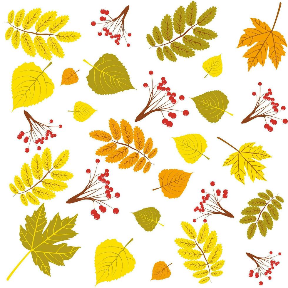 herfst decoratief lijsterbes naadloos patroon. gemakkelijk vallen bessen herhaalbaar motief voor kleding stof, omhulsel papier, oppervlakte ontwerp projecten. herfst esdoorn- en berk bladeren vector