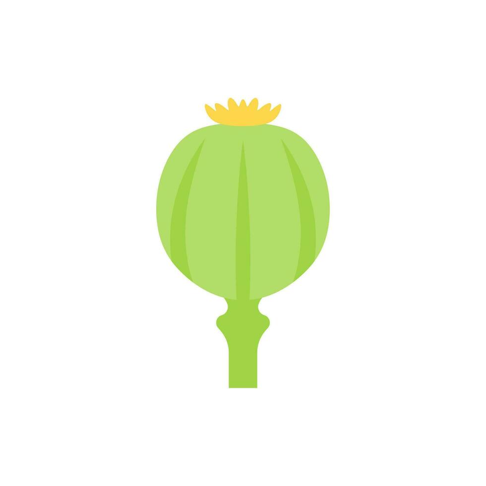 opium papaver vlak ontwerp vector illustratie