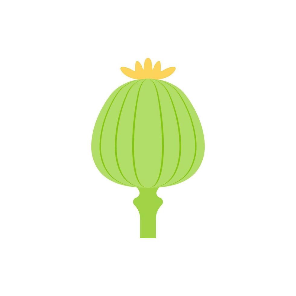 opium papaver vlak ontwerp vector illustratie