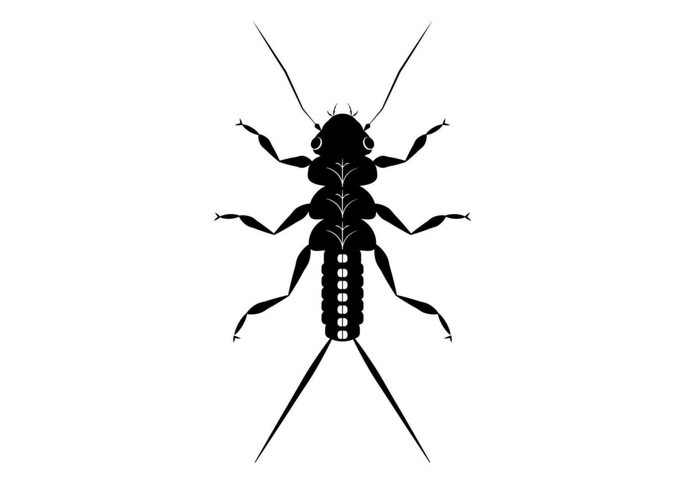zwart en wit steenvlieg nimf insect clip art vector geïsoleerd Aan wit achtergrond
