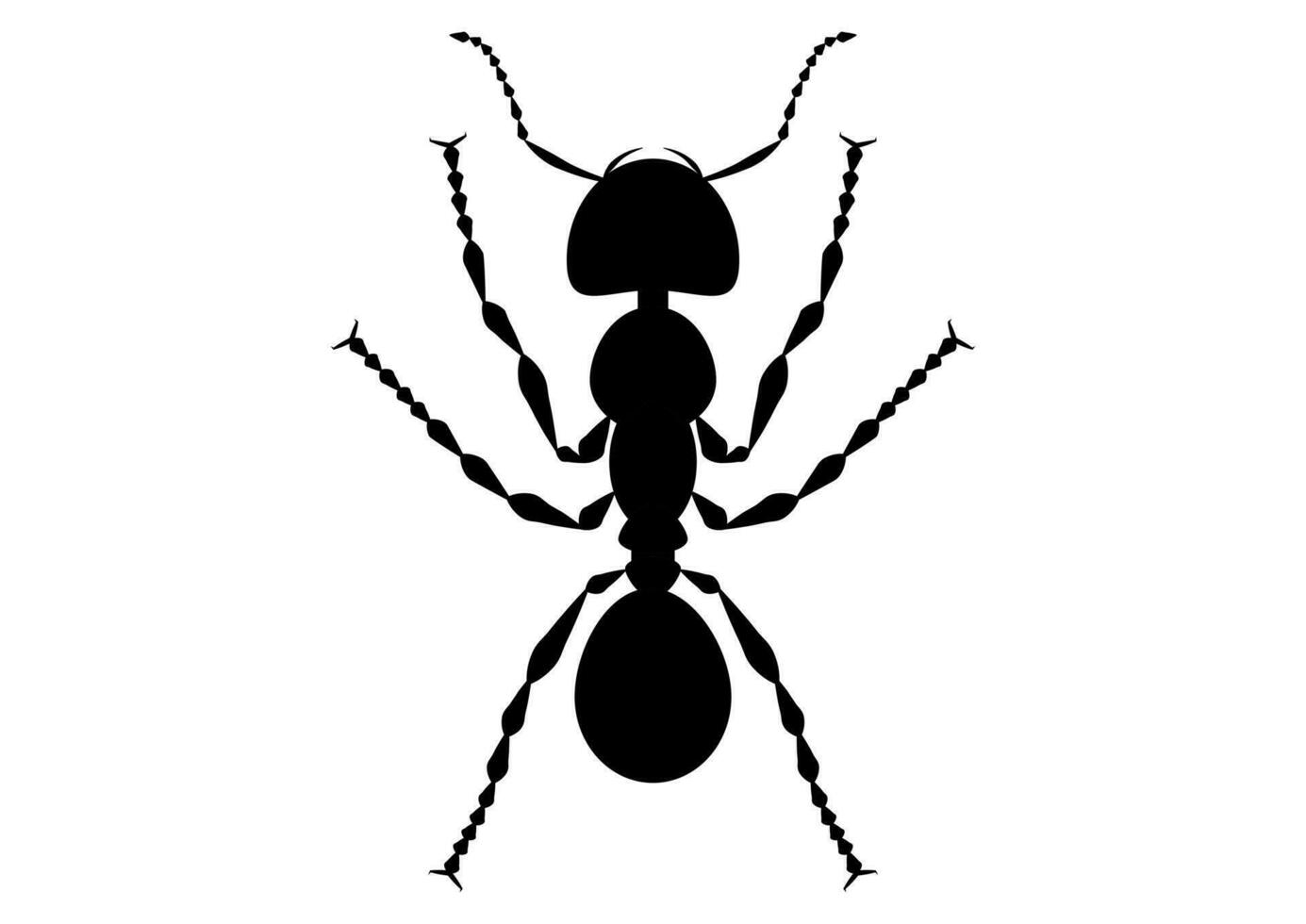 zwart en wit mier clip art vector