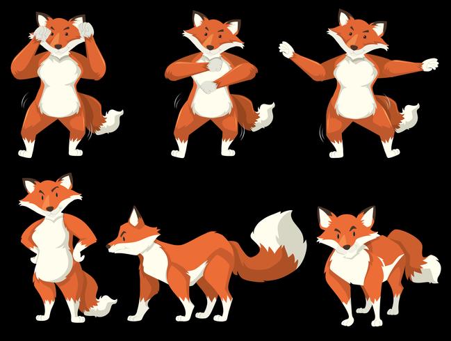 Fox-karakter danspositie vector