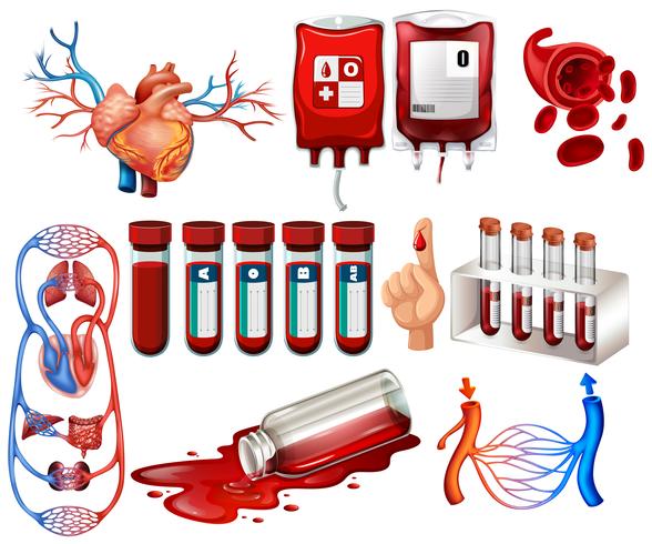 Menselijk bloed en organen vector