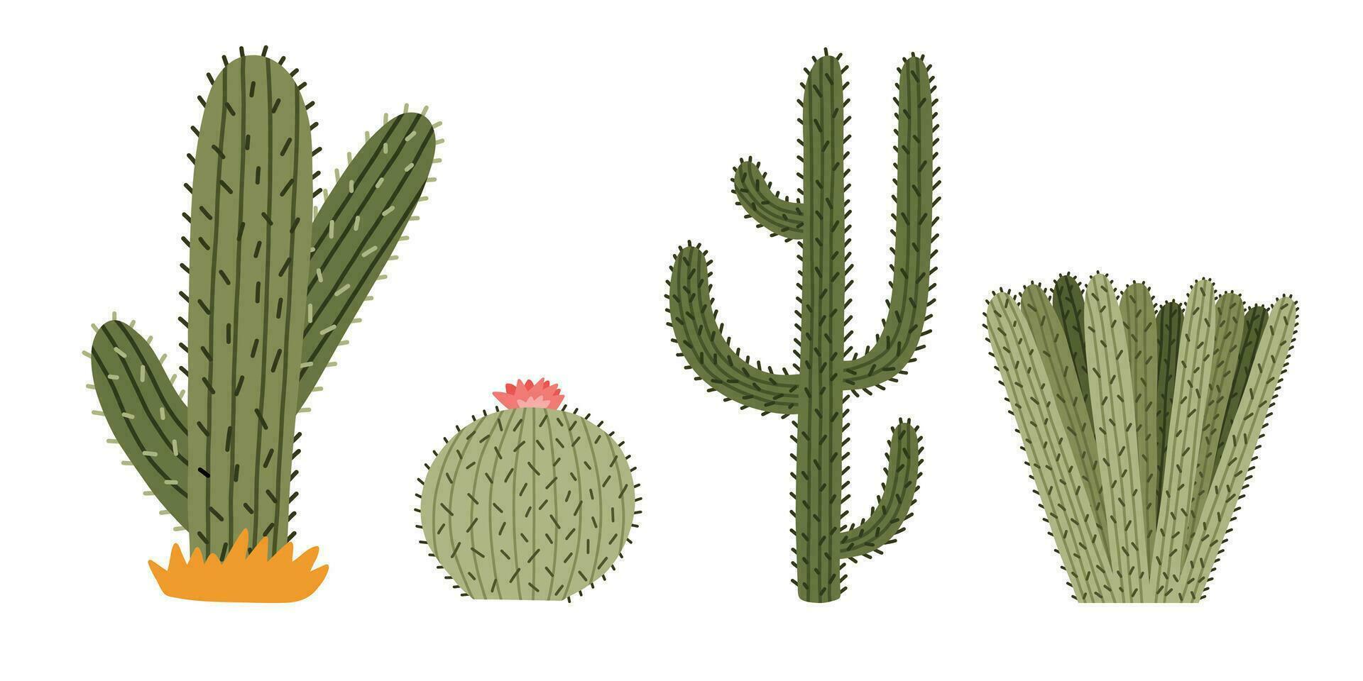 reeks van schattig hand- getrokken saguaro cactus van Mexico of wild west woestijn. vector gemakkelijk cactussen bloem met doornen in tekenfilm stijl. Mexicaans doornig exotisch fabriek geïsoleerd Aan wit achtergrond.