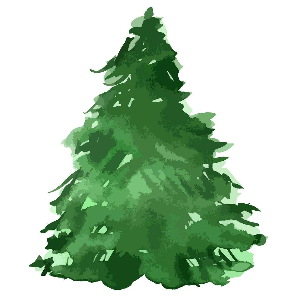 waterverf vector Kerstmis boom. groenblijvend illustratie. geïsoleerd nieuw jaar.