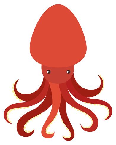 Rode octopus op witte achtergrond vector