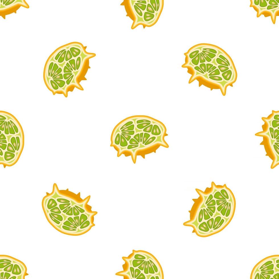 illustratie op thema grote gekleurde naadloze kiwano vector