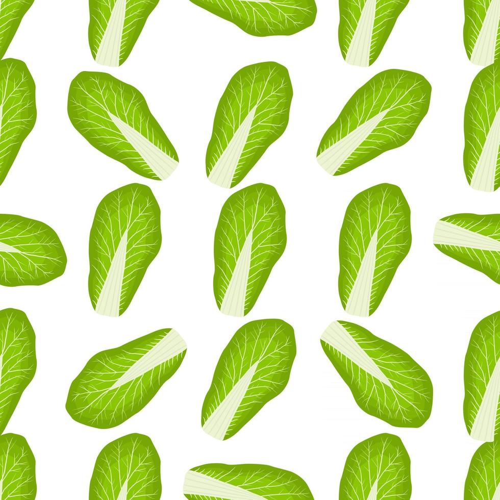 eenvoudig kleurrijk groentepatroon van salade chinese kool vector