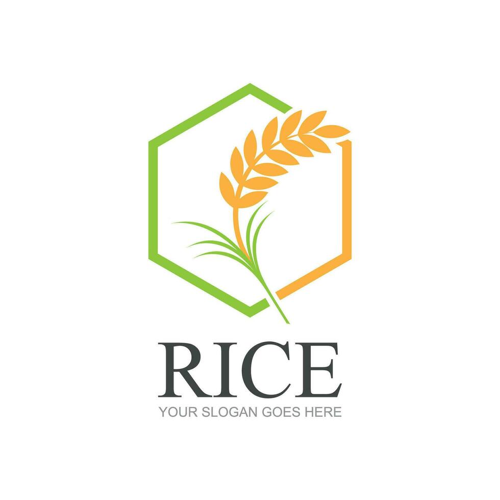 rijst- of tarwe graan landbouw logo ontwerp voor uw bedrijf en Product namen of voor allemaal uw ideeën vector