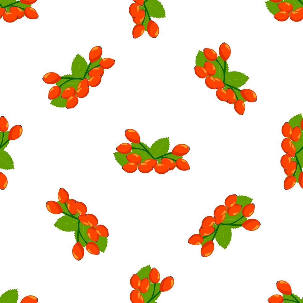 illustratie op thema grote gekleurde naadloze rozenbottel vector