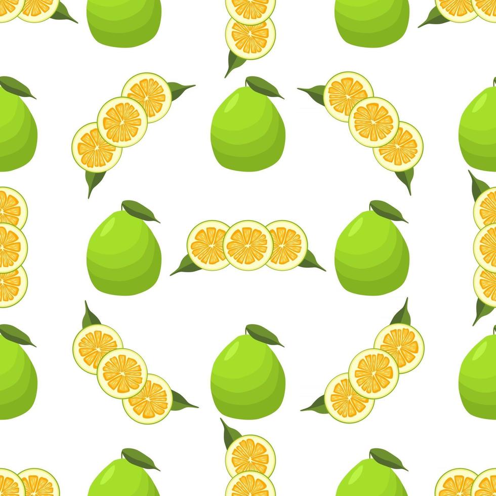 illustratie op thema grote gekleurde naadloze pomelo vector