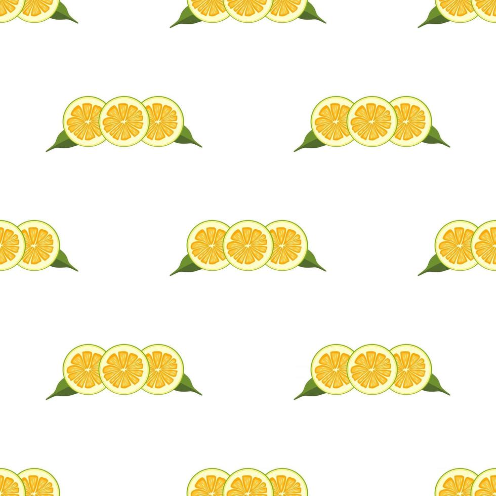 illustratie op thema grote gekleurde naadloze pomelo vector