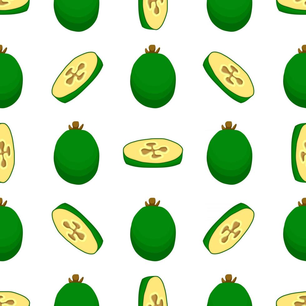 illustratie op thema grote gekleurde naadloze feijoa vector