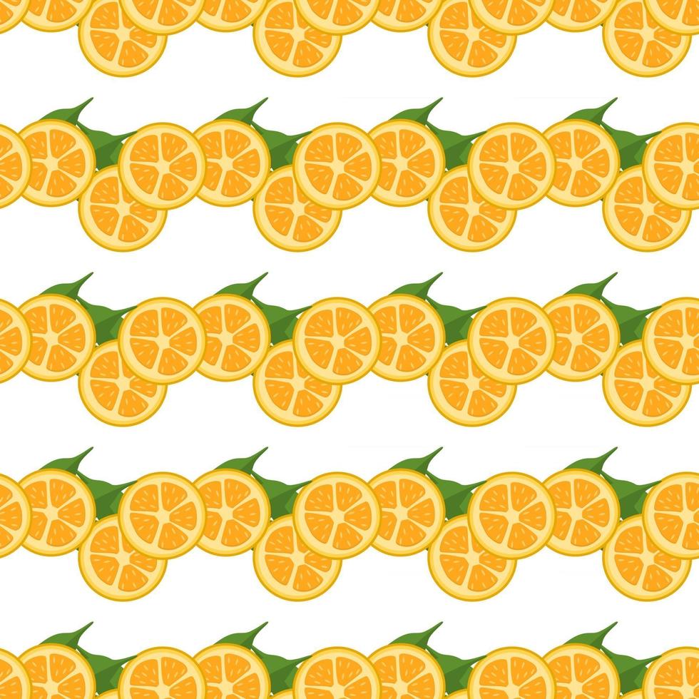 illustratie op thema grote gekleurde naadloze kumquat vector