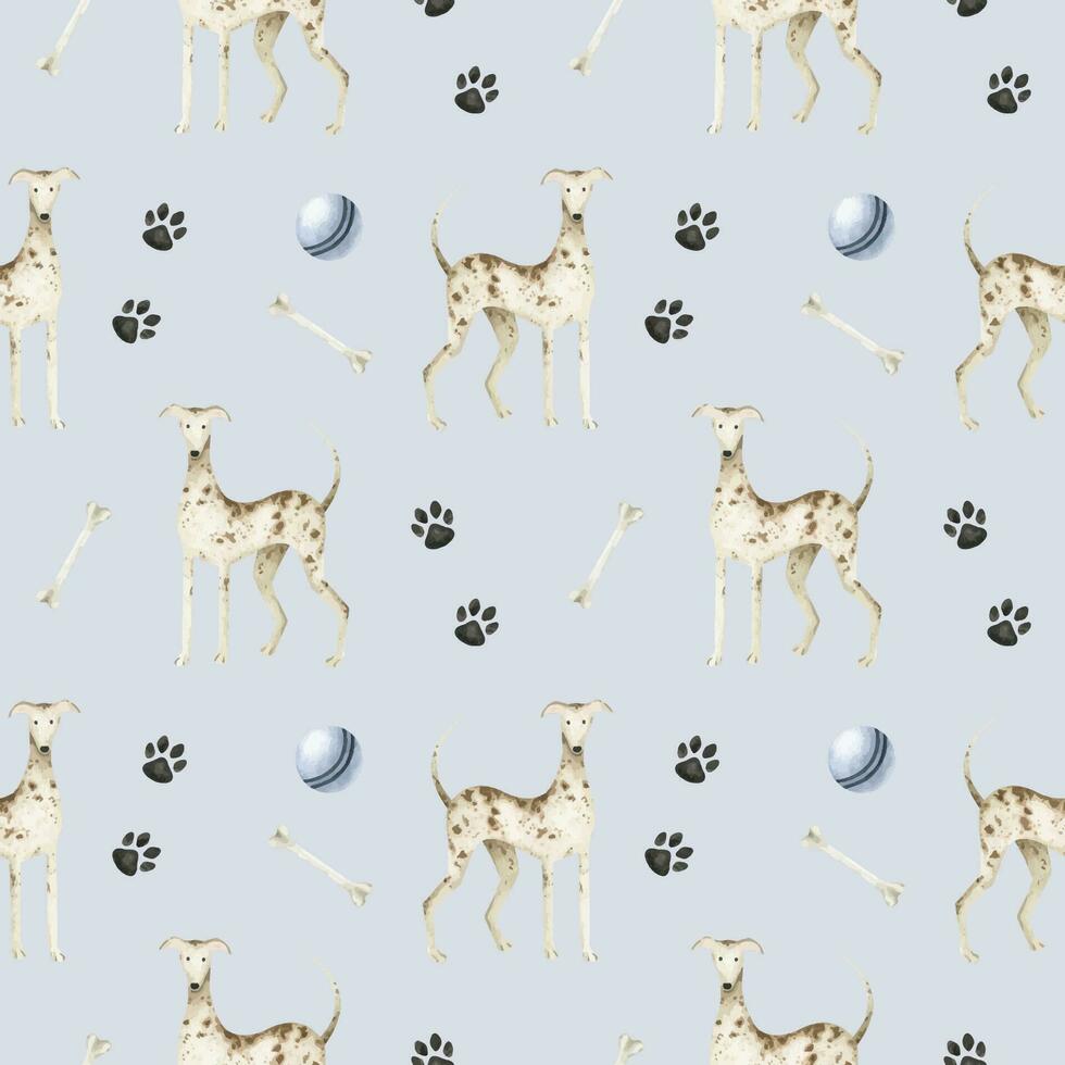 een whippet honden. een huisdier honden. de hond hond honden, poten, ballen en botten. waterverf naadloos patroon.schattig huisdier-thema afdrukken voor, kleding stof, ontwerp, veterinair kliniek, huisdier op te slaan, logo, scrapbooking, huisdier labels. vector