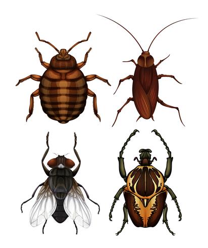 Een set van ziekte insecten vector