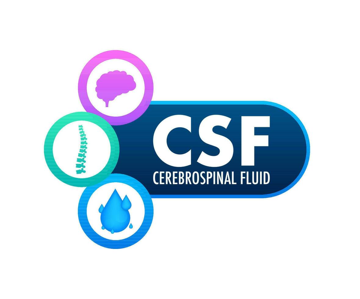 csf cerebrospinaal vloeistof. medisch concept. vector voorraad illustratie