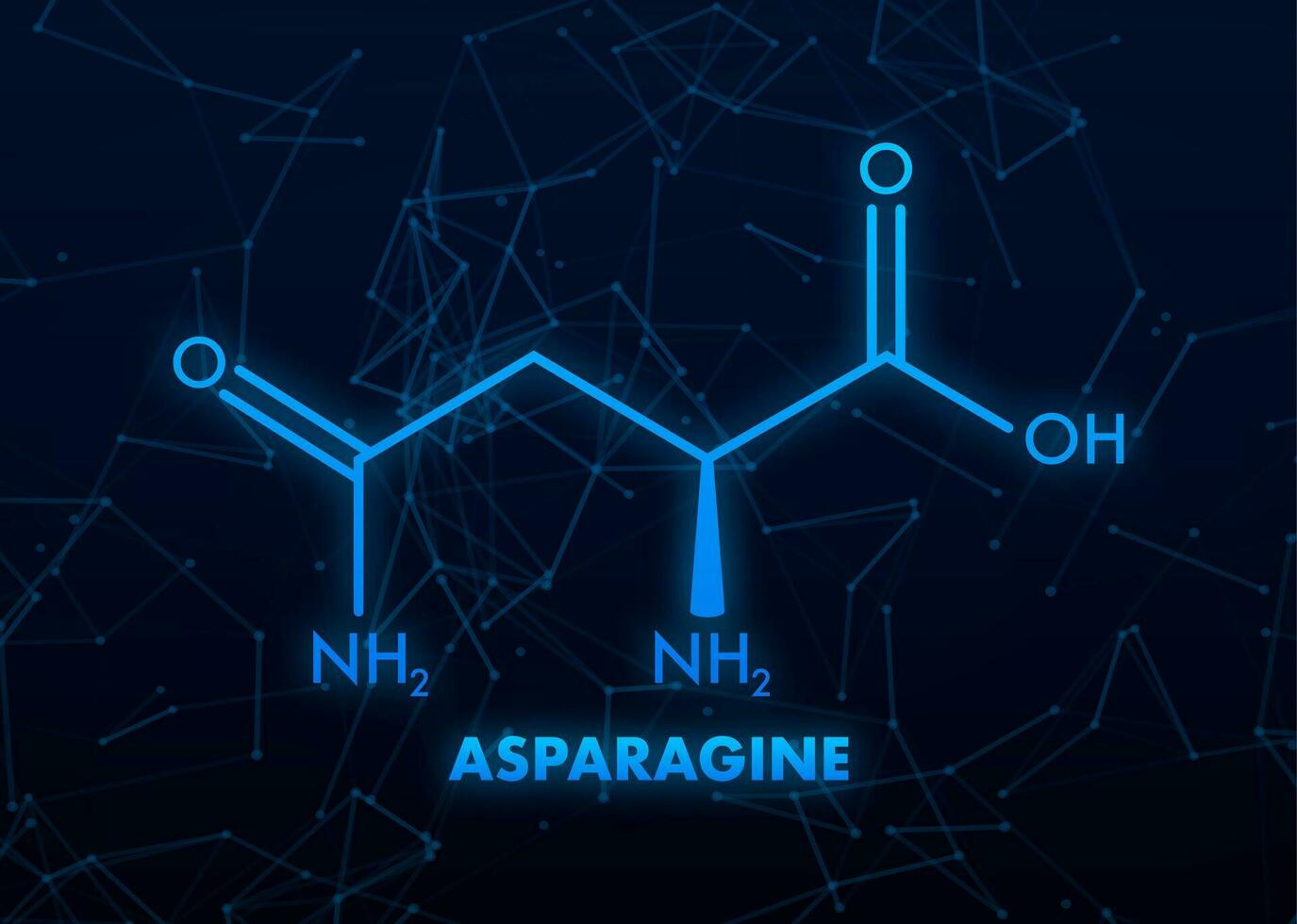 moleculair biologie. asparagine l asparagine , asn, n amino zuur molecuul. vector illustratie.