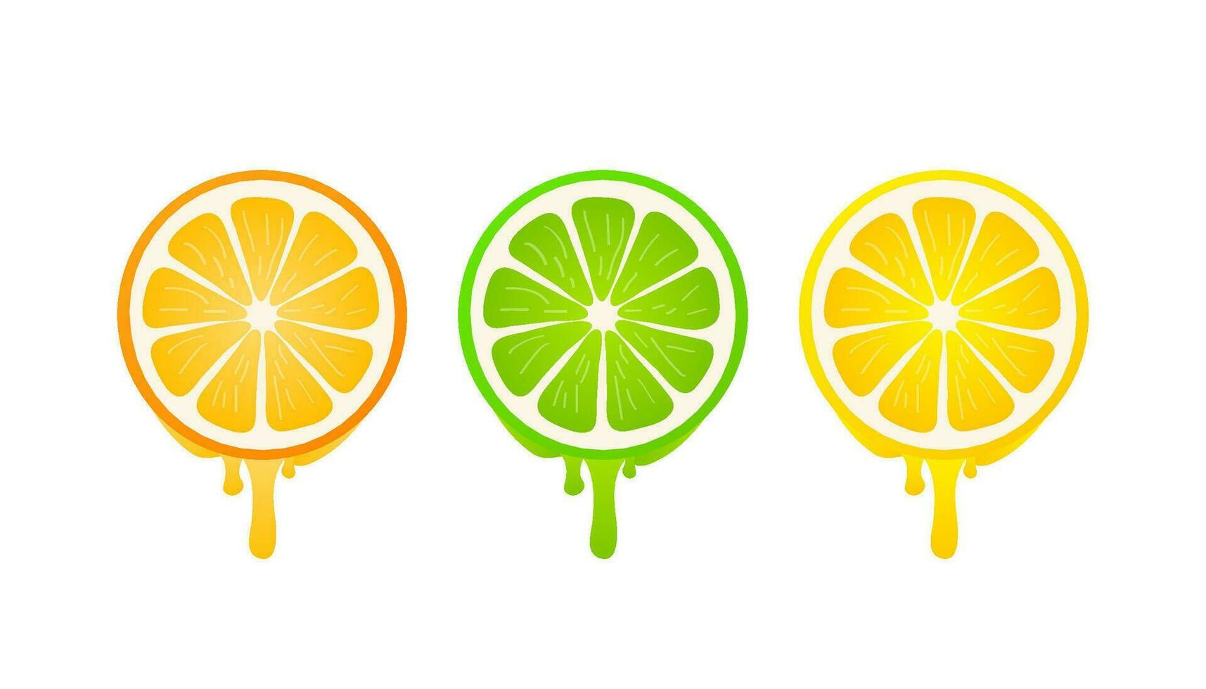 banners met vers citrus fruit Aan een wit achtergrond. vector illustratie.