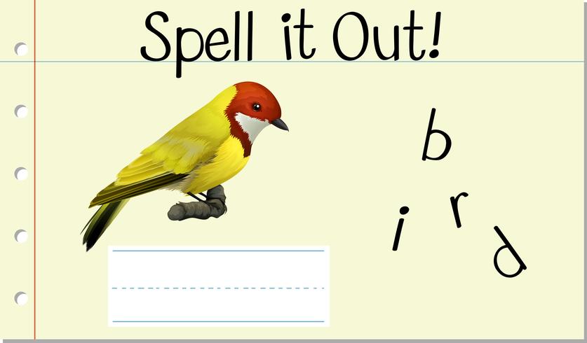 Spell Engelse woordvogel vector