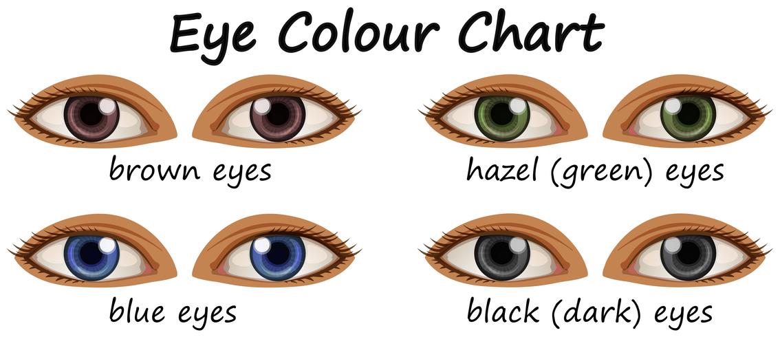 Menselijke ogen met verschillende kleuren vector