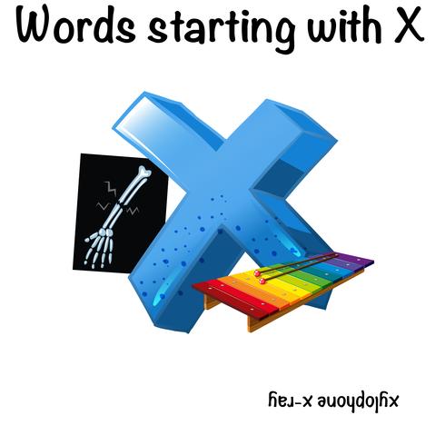 Woorden beginnend met letter X vector