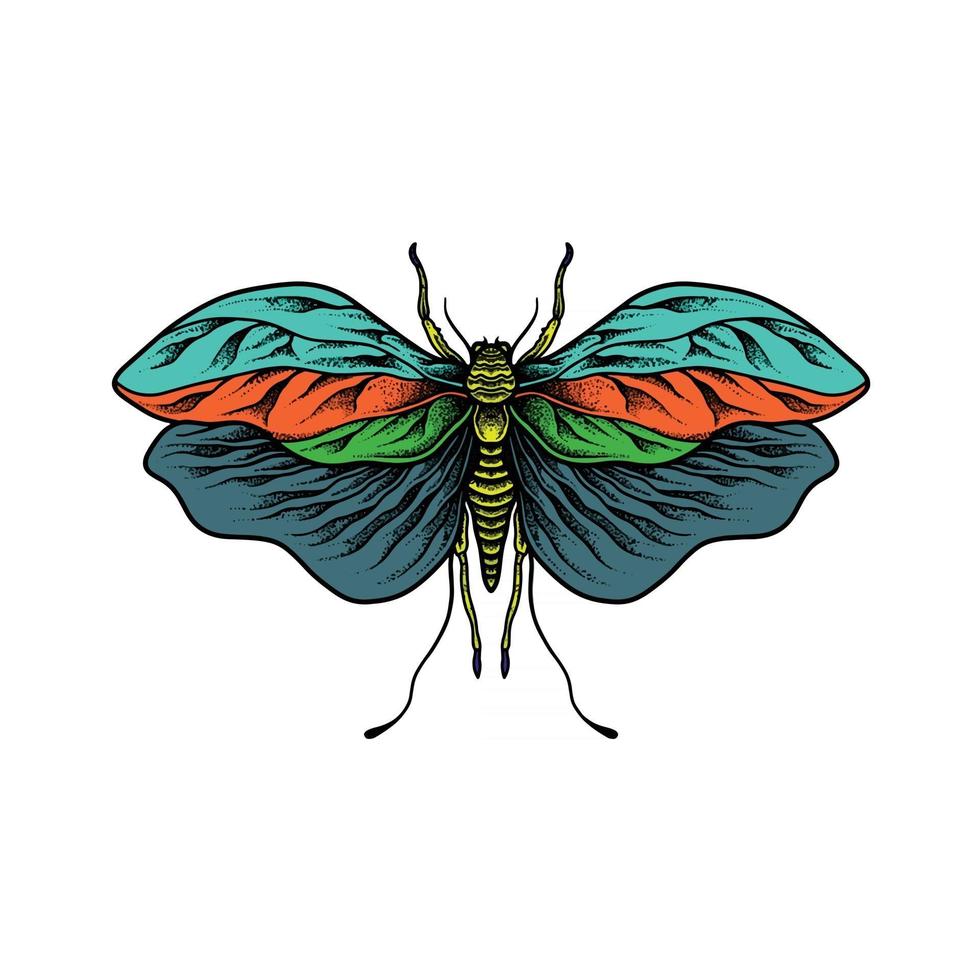 insect tekening ontwerp vector