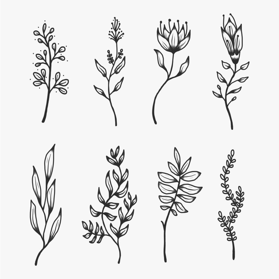 handgetekende botanische decoratieve elementen set decorative vector