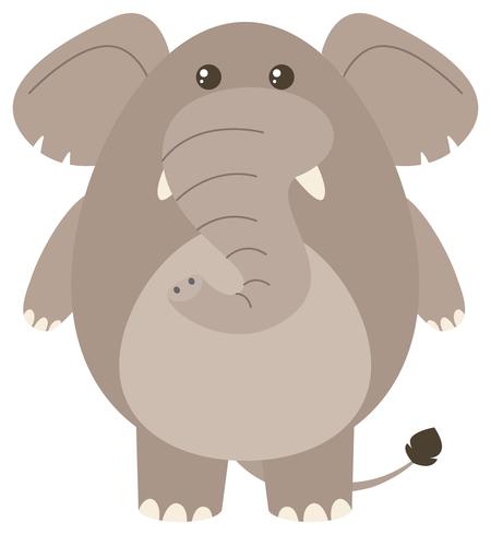 Grijze olifant op witte achtergrond vector