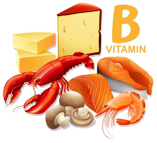 Een set vitamine B-voedingsmiddelen vector
