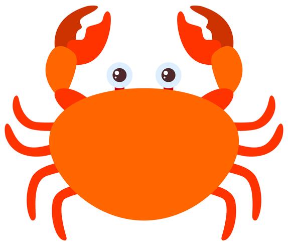 Oranje krab op witte achtergrond vector