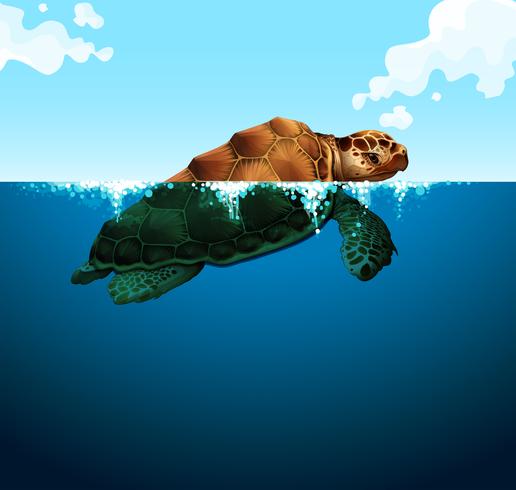 Schildpad die in de oceaan zwemt vector